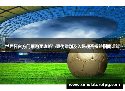 世界杯官方门票购买攻略与真伪辨别及入场观赛权益指南详解